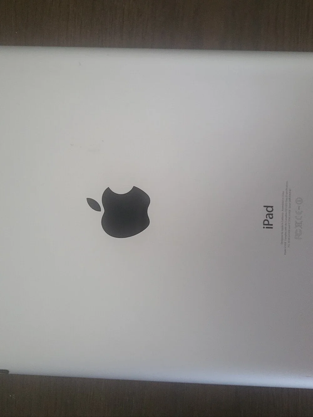 Apple iPad White Front with Green and Blue Display